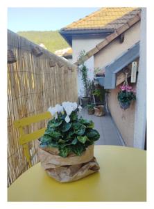 Appartements ideal studio : photos des chambres