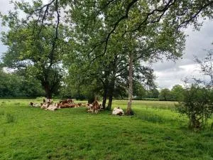 grande maison à la ferme - Aurouer