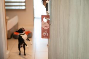 Armonia Suite room in Acrotel Athena Pallas