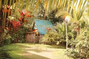 Rustic Cabin in Pavones surf brake - Finca Burica
