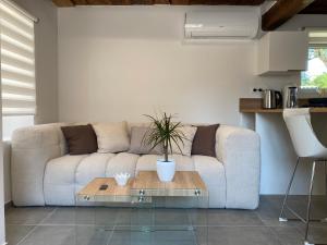 Maisons de vacances La Pommeraie - Balneo- Queen Size- Canal- Parking : photos des chambres