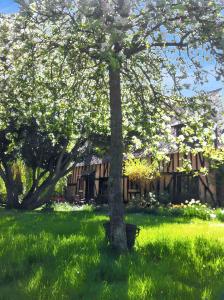 Maison spacieuse et charmante à Dame-Marie avec jardin