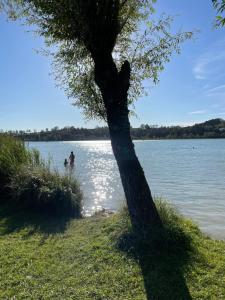 Maisons de vacances L'Oreline au coeur de la region des Lacs du Jura : photos des chambres