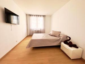 Charmant T5 centre Villeurbanne