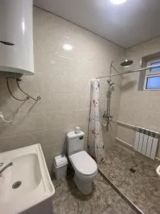 Адеми - Orgochor