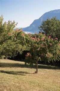 Maisons de vacances SEVRIER, maison vue panoramique sur le lac , 8 personnes : photos des chambres