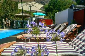 Organica Lodge Hotel Boutique