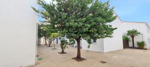 Maisons de vacances Maison charmante a Vaux-sur-Mer avec piscine partagee : photos des chambres