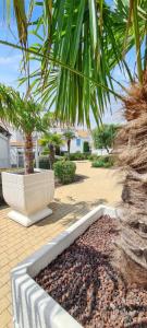 Maisons de vacances Maison charmante a Vaux-sur-Mer avec piscine partagee : photos des chambres