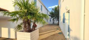 Maisons de vacances Maison charmante a Vaux-sur-Mer avec piscine partagee : photos des chambres