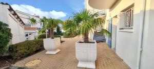 Maisons de vacances Maison charmante a Vaux-sur-Mer avec piscine partagee : photos des chambres