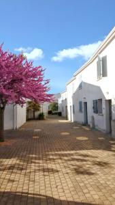 Maisons de vacances Maison charmante a Vaux-sur-Mer avec piscine partagee : photos des chambres