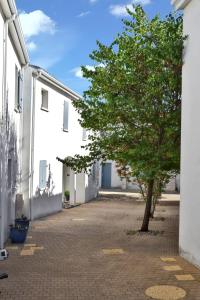 Maisons de vacances Maison charmante a Vaux-sur-Mer avec piscine partagee : photos des chambres