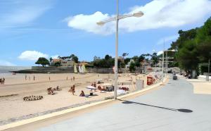 Maisons de vacances Maison charmante a Vaux-sur-Mer avec piscine partagee : photos des chambres