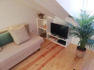 Martim Vaz - Rooftop