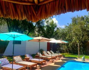 Organica Lodge Hotel Boutique