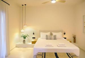 Agave Donousa Suites