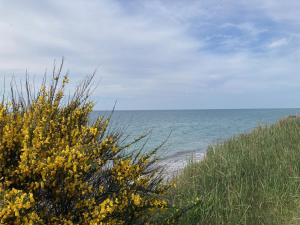 Atelierwohnung Götze