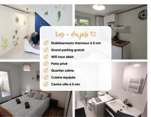 Appartements Joli T2 proche gare, thermes, parking gratuit : photos des chambres