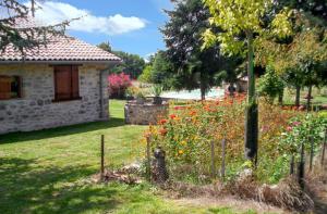 Maisons de vacances Maison charmante a Saint-Cirq avec piscine privee : photos des chambres
