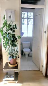Maisons de vacances Maison familiale avec piscine partagee a Moissac, jardin : photos des chambres