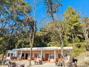The forest trail by lake & woods