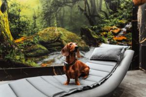 Boutique Hotel Budzak