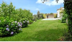 Charming House in Covelas with Pool and Mountain View