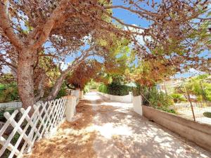 Welcoming house in Punta Tramontana – 60 m² with sea view img20