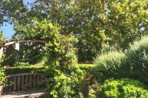Maisons de vacances Maison accueillante a Arles - Jardin, Parking prive : photos des chambres