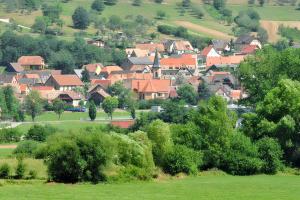 Maisons de vacances Maison charmante avec vue sur la montagne a Triembach-au-Val : photos des chambres