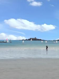 Maisons de vacances Maison spacieuse a Le Vivier-sur-Mer, proches des commodites : photos des chambres
