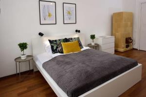Central large cosy apartment