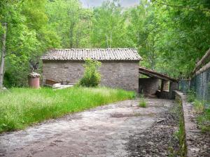Comfortable Apartment with Mountain View in Laspaúles