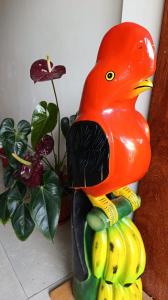 Hospedaje Oxa Paraíso