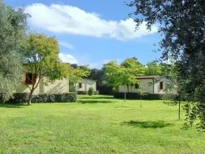 Bungalow confortable à Santa-Lucia-di-Moriani 38 m² jardin spacieux - Santa-Lucia-di-Moriani