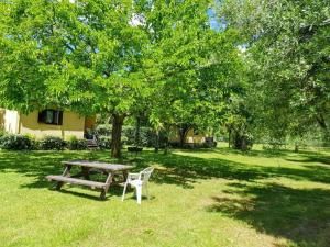 Maisons de vacances Bungalow confortable a Santa-Lucia-di-Moriani 38 m² jardin spacieux : photos des chambres