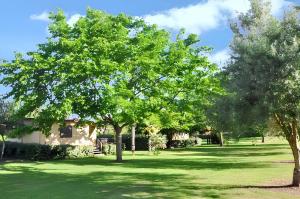 Maisons de vacances Bungalow confortable a Santa-Lucia-di-Moriani 38 m² jardin spacieux : photos des chambres