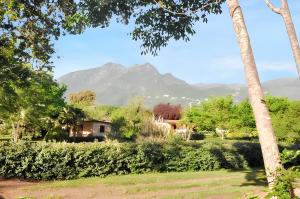 Maisons de vacances Bungalow confortable a Santa-Lucia-di-Moriani 38 m² jardin spacieux : photos des chambres