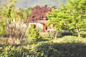 Maisons de vacances Bungalow confortable a Santa-Lucia-di-Moriani 38 m² jardin spacieux : photos des chambres