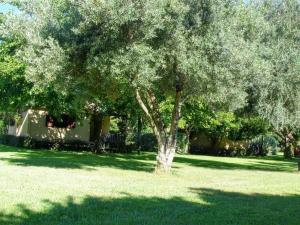 Maisons de vacances Bungalow confortable a Santa-Lucia-di-Moriani 38 m² jardin spacieux : photos des chambres