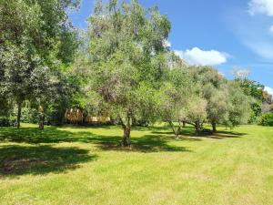 Maisons de vacances Bungalow confortable a Santa-Lucia-di-Moriani 38 m² jardin spacieux : photos des chambres