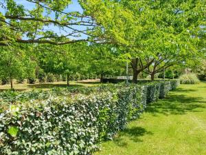 Maisons de vacances Bungalow confortable a Santa-Lucia-di-Moriani 38 m² jardin spacieux : photos des chambres