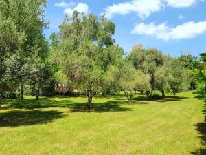 Maisons de vacances Bungalow confortable a Santa-Lucia-di-Moriani 38 m² jardin spacieux : photos des chambres