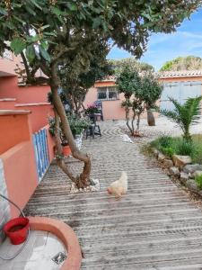 Studio confort à Hyères - 20 m² avec barbecue et terrasse