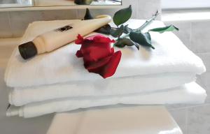 Modern Apartment in Grand Baie