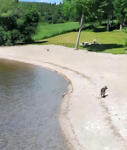 Maison accueillante à La Salvetat-sur-Agout avec terrasse