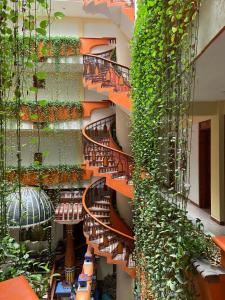 Hotel Báez Carrizal