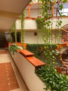 Hotel Báez Carrizal