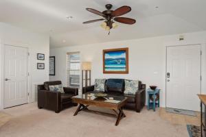 SEV405 The Sand Dollar